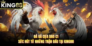 Đá Gà cựa dao C1 - Sức Hút Từ Những Trận Đấu Tại KING88