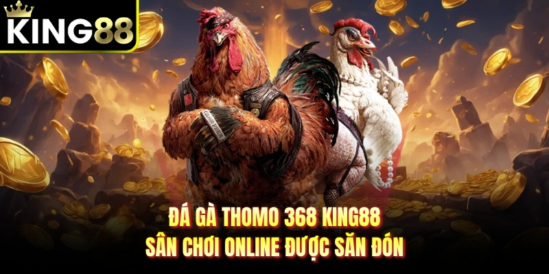 Đá Gà Thomo 368 KING88 - Sân Chơi Online Được Săn Đón