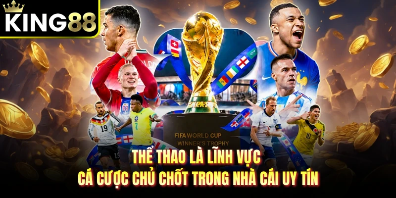 Thể thao là lĩnh vực cá cược chủ chốt trong nhà cái uy tín
