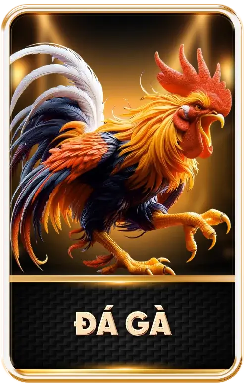 Đá gà nhà cái King88